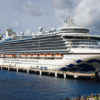 Cruise Ship Returns to Florida With Hundreds of Sickened Passengers