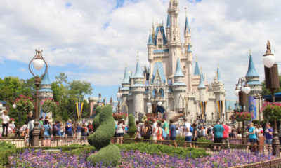 Disney Purchases More Acreage Near Orlando’s Magic Kingdom