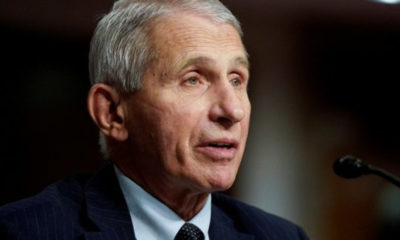 Dr. Fauci Recommends Vaccine Requirement for Domestic Flights